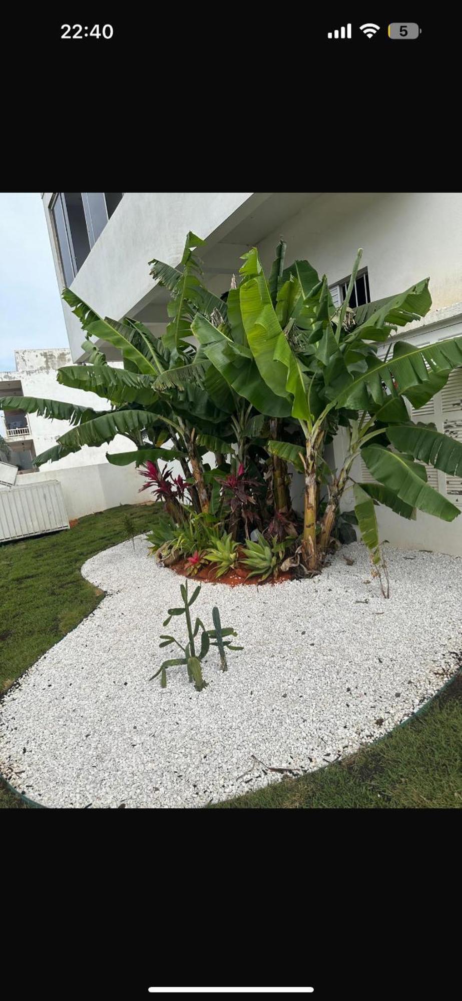 Pousada Dinaa 2 托雷斯 外观 照片